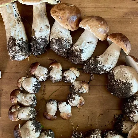 Casa vacanze Saint-julien-molhesabate, 4 Pièces, 6 Personnes - Fr-1-582-265