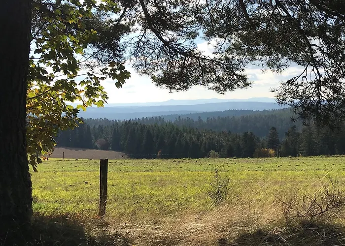 Hébergement de vacances Saint-julien-molhesabate, 4 Pièces, 6 Personnes - Fr-1-582-265 Saint-Julien-Molhesabate