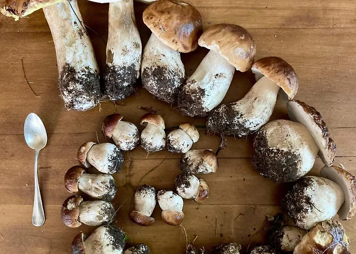 Hébergement de vacances Saint-julien-molhesabate, 4 Pièces, 6 Personnes - Fr-1-582-265