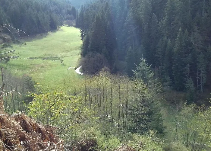 Hébergement de vacances Saint-julien-molhesabate, 4 Pièces, 6 Personnes - Fr-1-582-265 *